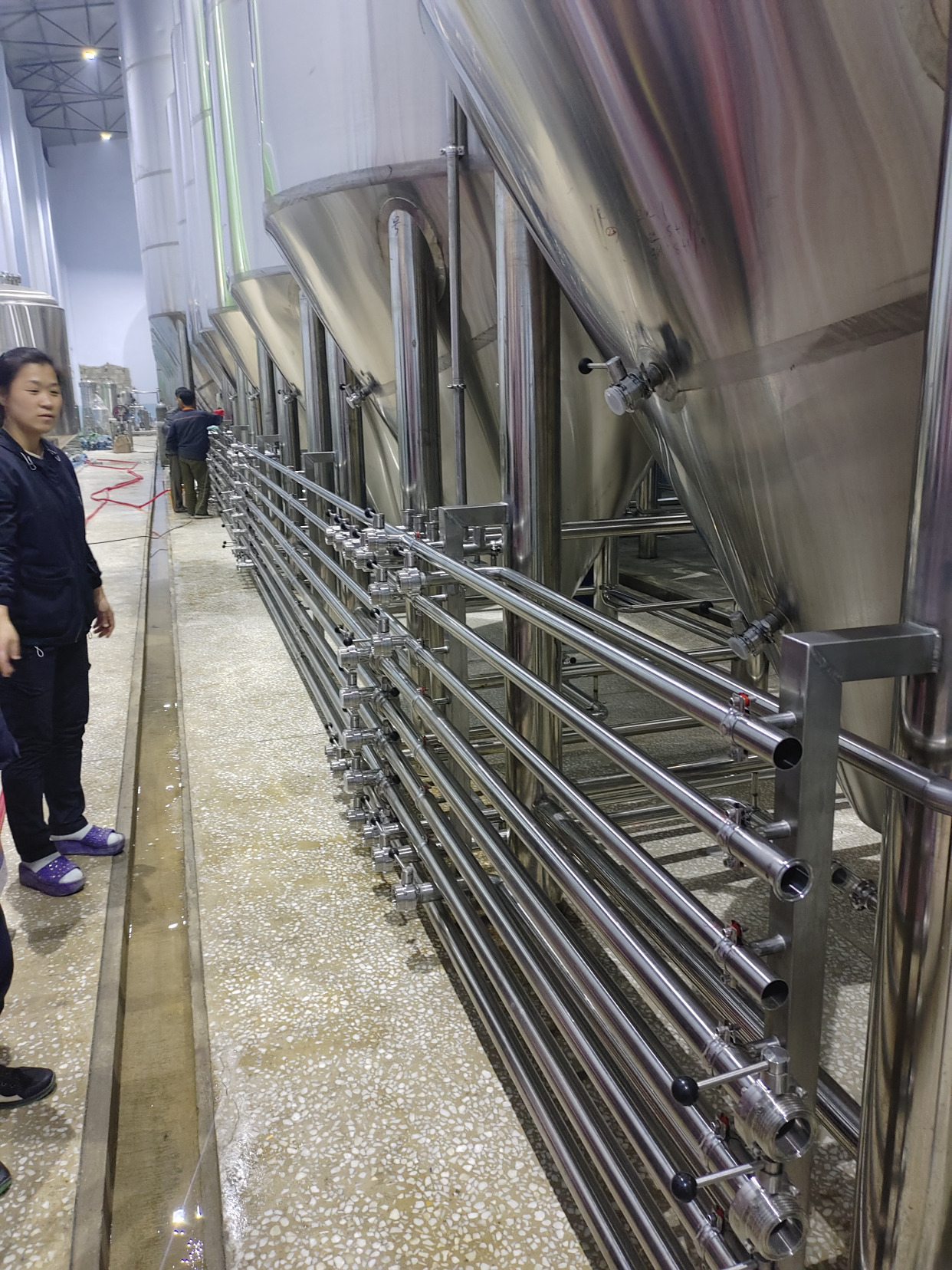 年产3000吨精酿啤酒 现代化酿造设备配置方案与关键考量